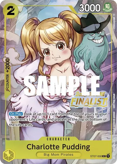 Charlotte Pudding ST07-008_x3