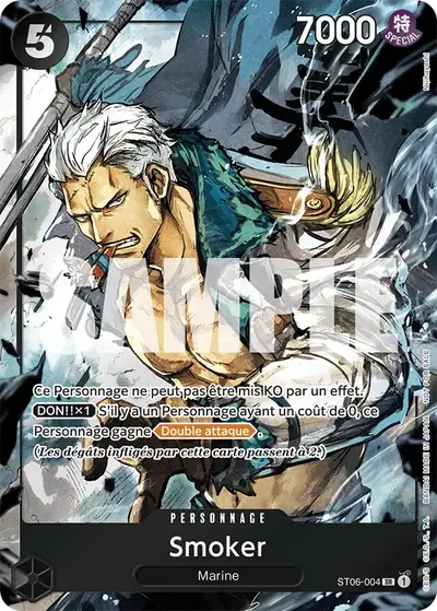 Smoker ST06-004