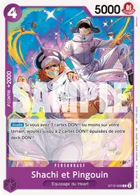 Shachi et Pingouin ST10-008_p1 · Illustration alternative