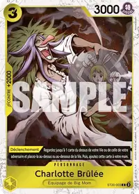 Charlotte Brûlée ST20-003_p1 · Pirate foil